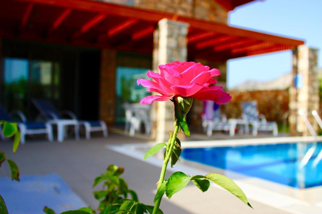 Estrella Villas Lardos Cameră foto